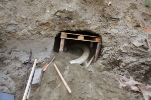 Un tunnel au fond du jardin