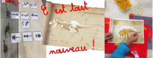 Un atelier pour futurs paléontologues