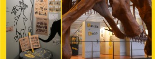 2020 c'est l'année de la Bande Dessinée au musée